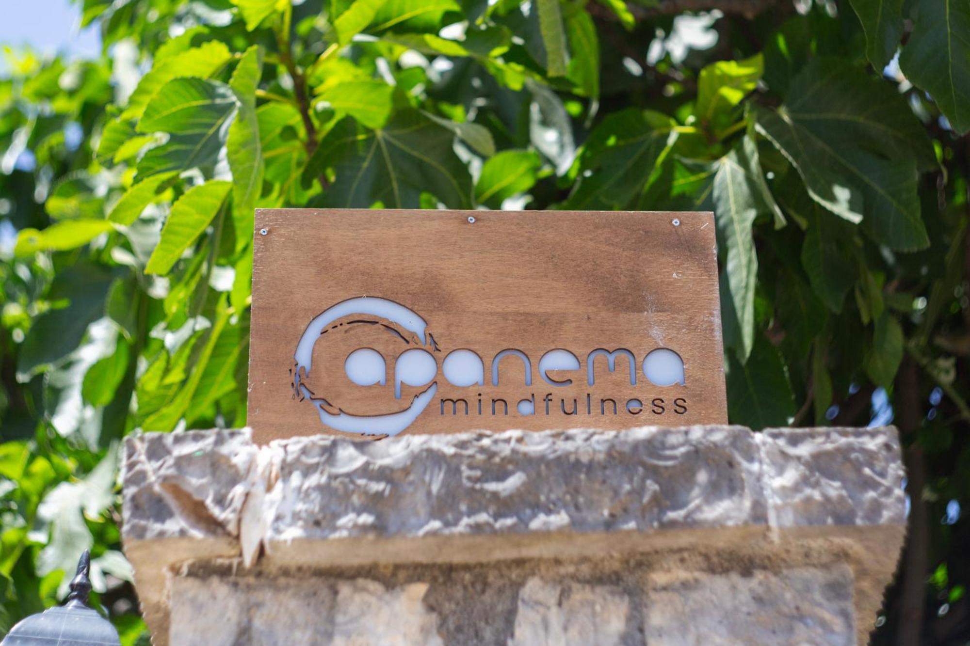 Apanema Mindfulness Resort Lefkada Asprogerakata Exterior foto